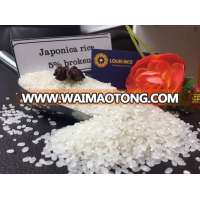 Japonica rice 5% broken