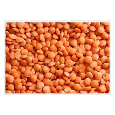 Quality Canadian Red lentils